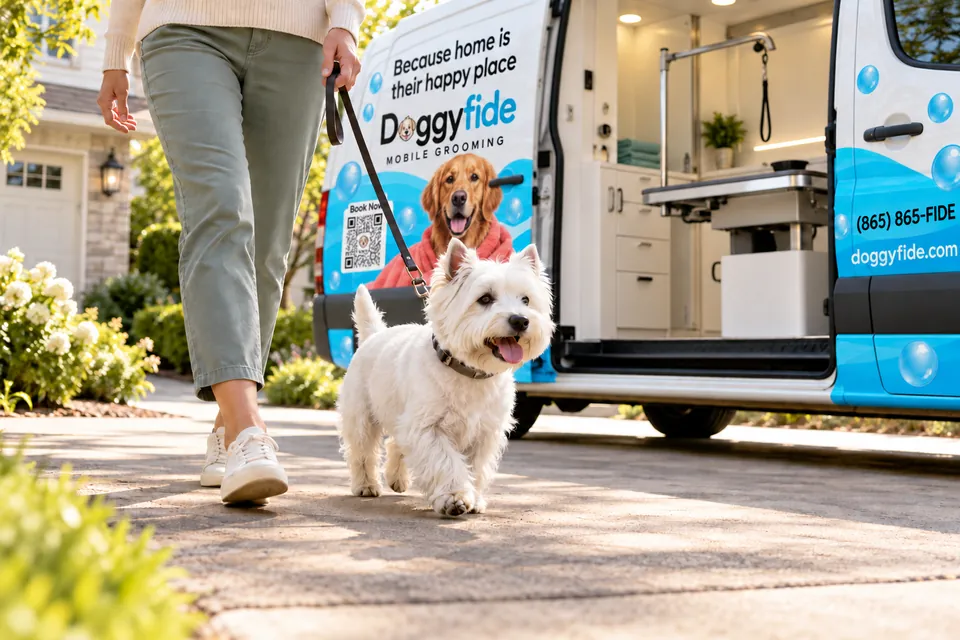 Illustrative west Highland terrier walking beside a mobile grooming van